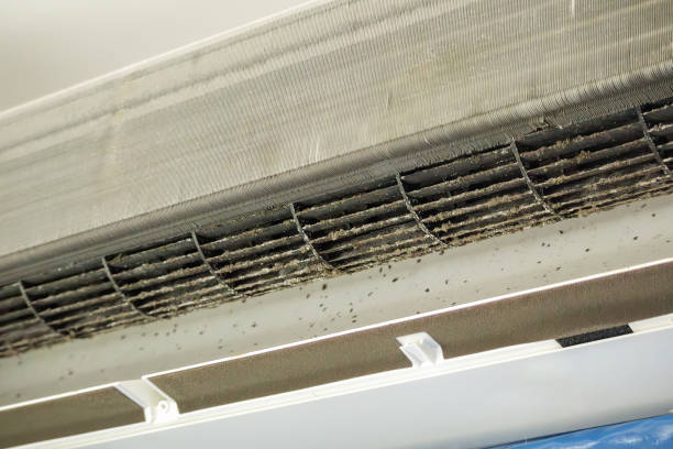 Best Best Air Duct Cleaning Near Me  in USA